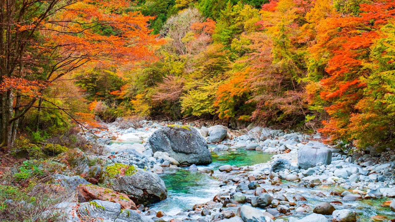 阿寺渓谷 — 河原と色づき
