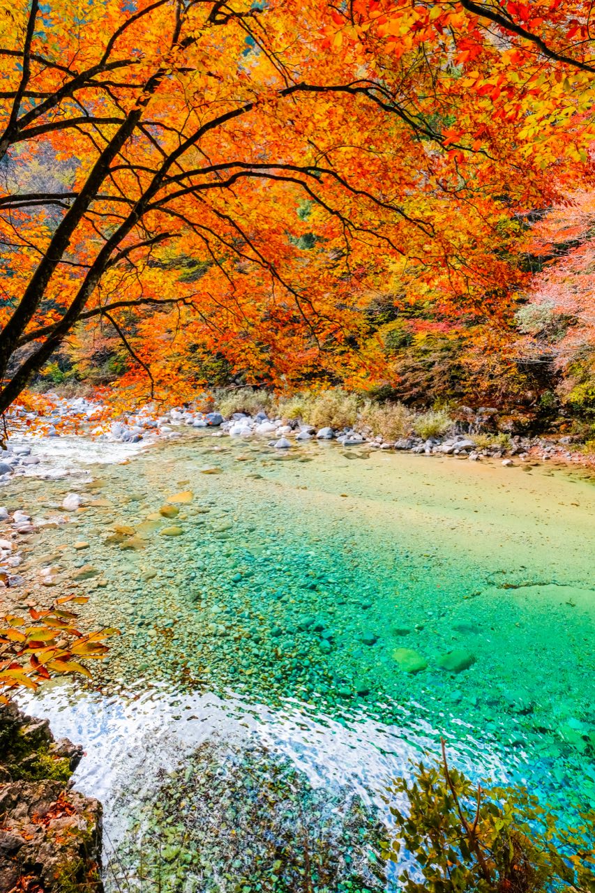 阿寺渓谷 — 紅葉のアーチ