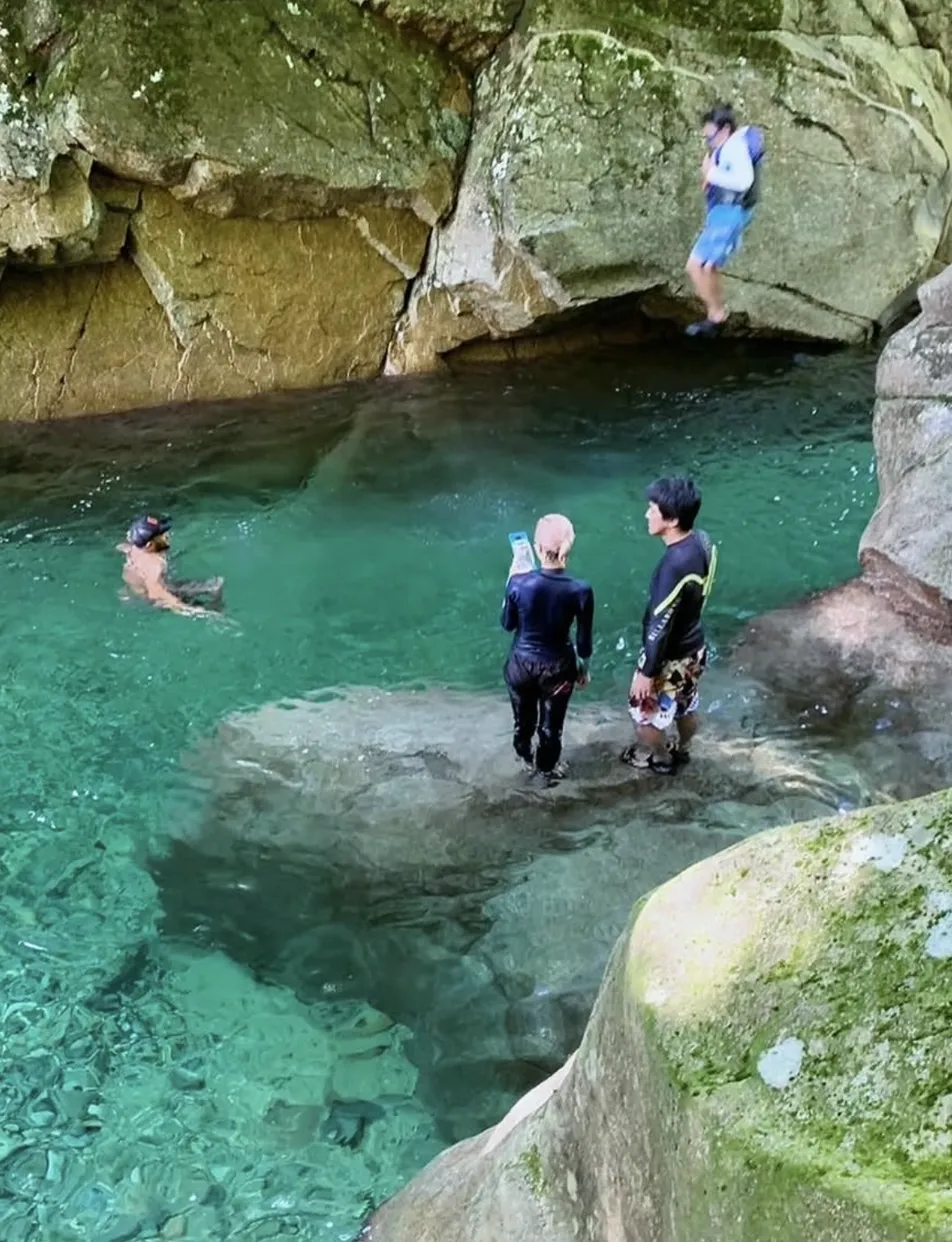 夏の阿寺渓谷 青葉と川遊び